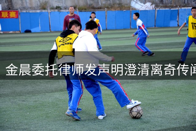 金晨委托律师发声明澄清离奇传闻